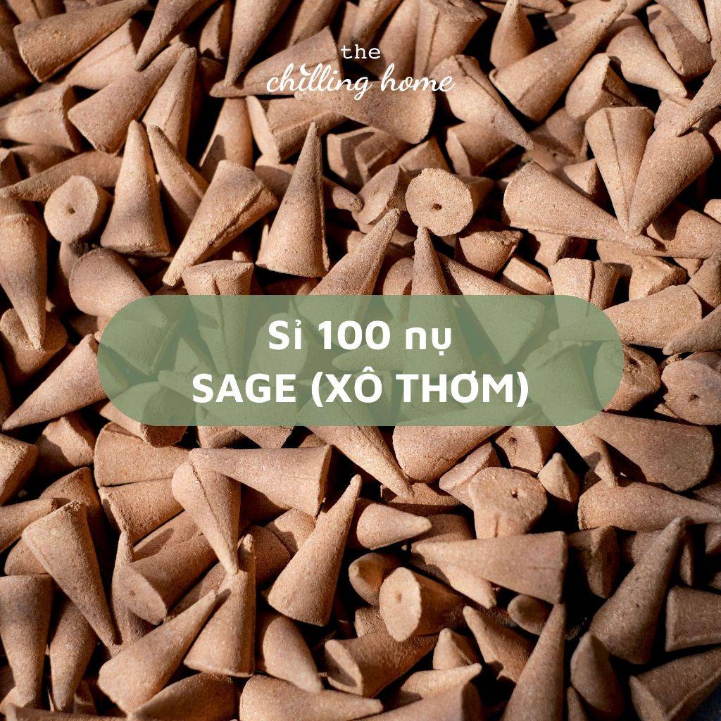 Hộp 100 Nụ Sage