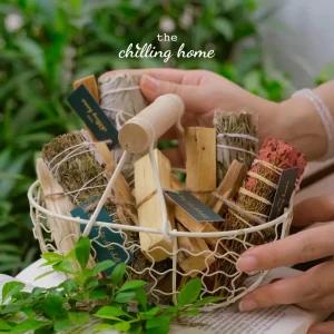 TOP những loại Sage (lá xô thơm) phổ biến nhất hiện nay và công dụng có thể bạn chưa biết