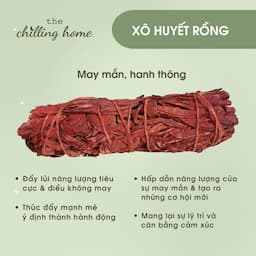 xo-huyet-rong-the-chilling-home