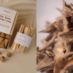 Sự khác biệt giữa Palo Santo và trầm hương có thể bạn chưa biết